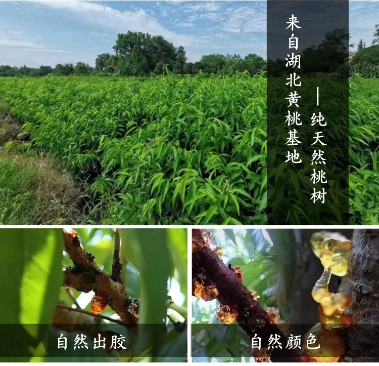 纯天然桃胶热销|纯天然桃胶无加工桃胶高品质500g(小颗粒)