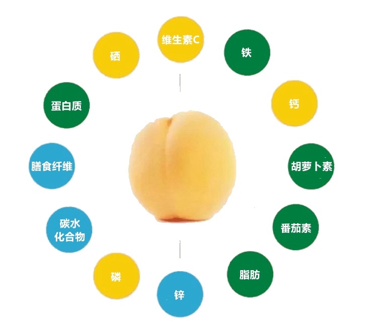 【精品装】荆楚三湖锦绣黄桃新鲜味甜多汁价格170元/20斤！