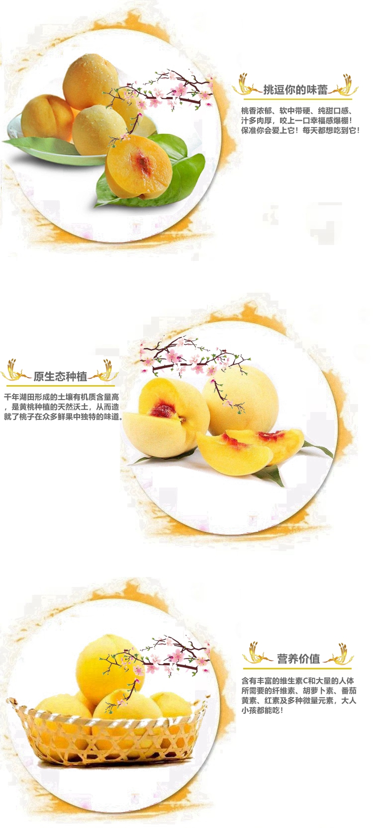 【精品装】荆楚三湖锦绣黄桃新鲜味甜多汁价格170元/20斤！